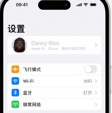 九所镇appleID维修服务iPhone设置中Apple ID显示为灰色无法使用 