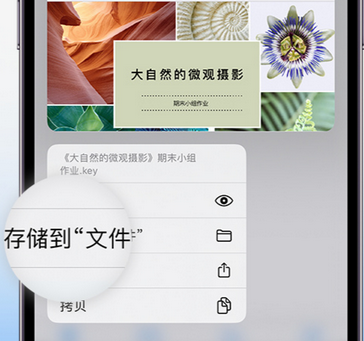 九所镇apple维修中心分享iPhone文件应用中存储和找到下载文件