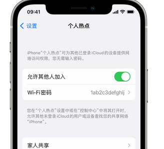 九所镇apple服务站点分享iPhone上个人热点丢失了怎么办 