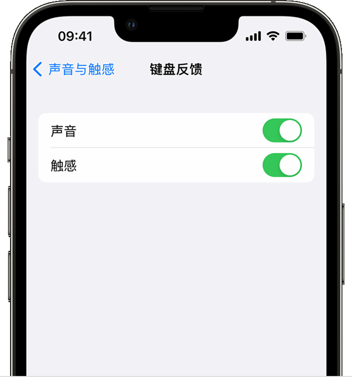 九所镇苹果14维修店分享如何在 iPhone 14 机型中使用触感键盘 