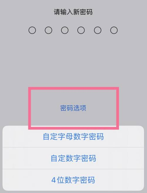 九所镇苹果14维修分享iPhone 14plus设置密码的方法 