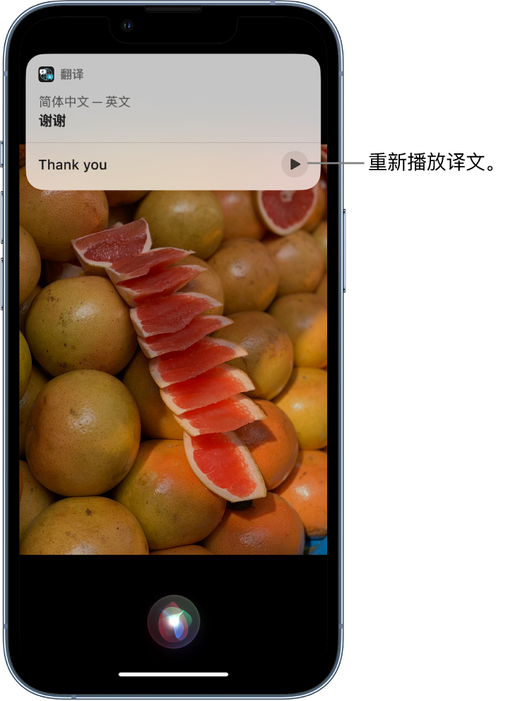 九所镇苹果14维修分享 iPhone 14 机型中使用 Siri：了解 Siri 能帮你做什么 