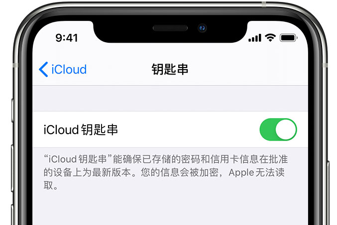 九所镇苹果手机维修分享在 iPhone 上开启 iCloud 钥匙串之后会储存哪些信息 