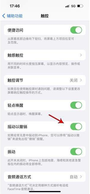 九所镇苹果手机维修分享iPhone手机如何设置摇一摇删除文字 
