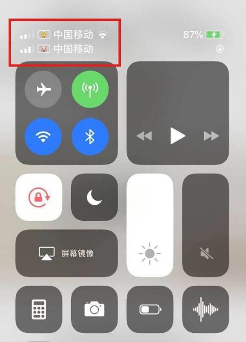 九所镇苹果手机维修分享为 iPhone 12 双卡设置标签 