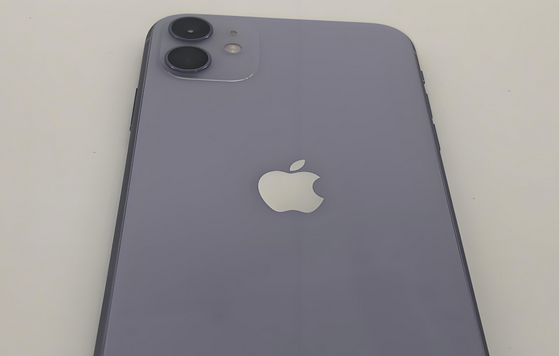 九所镇苹果11系统维修分享iPhone11手机系统崩溃无法开机如何解决 